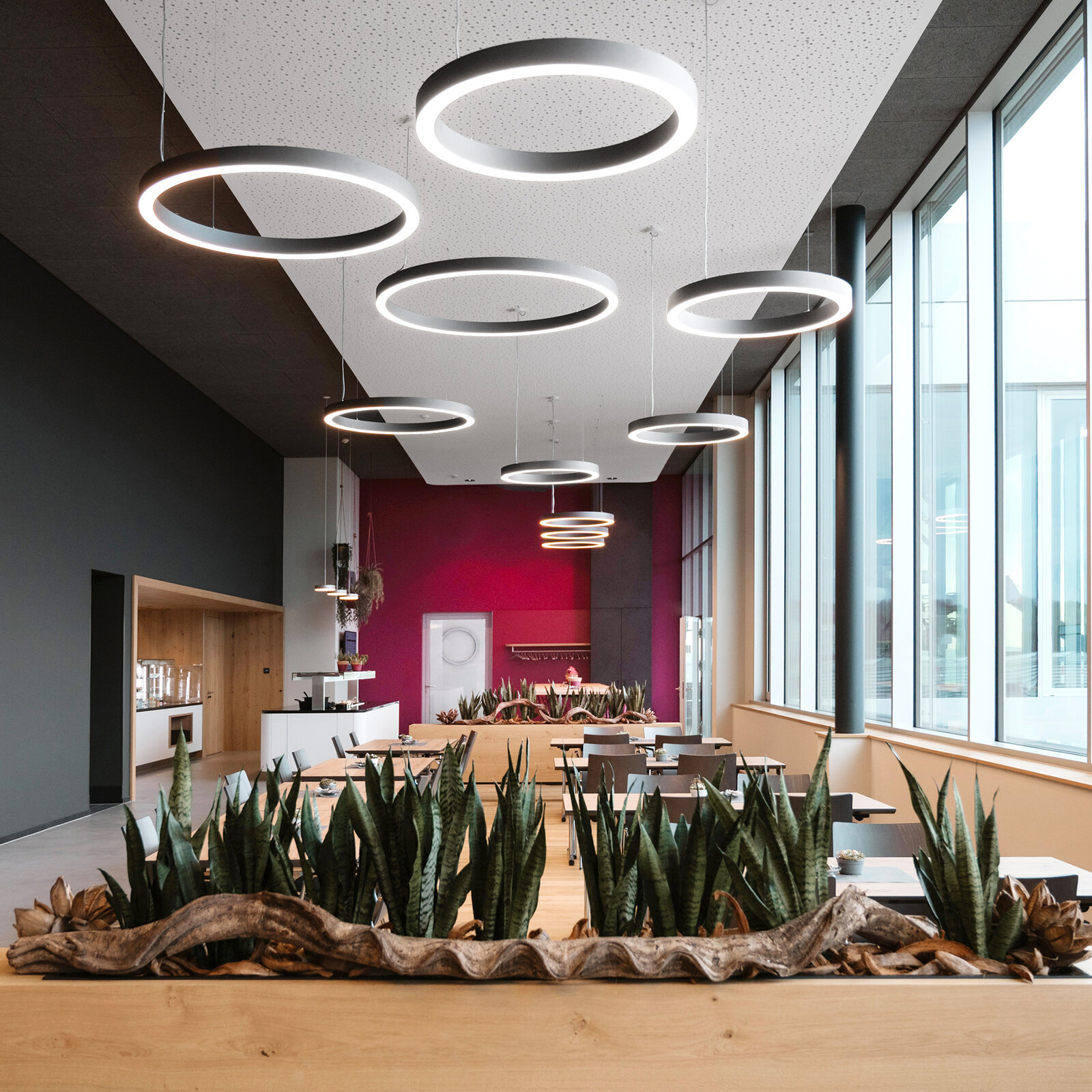zieflekoch leuco ledermann Horb kantine asteiche grautoene buffetflaechen baenke cognacfarben magenta dezente komplementaerkontraste gruen sessel pflanzen beleuchtung ringe tische stuehle