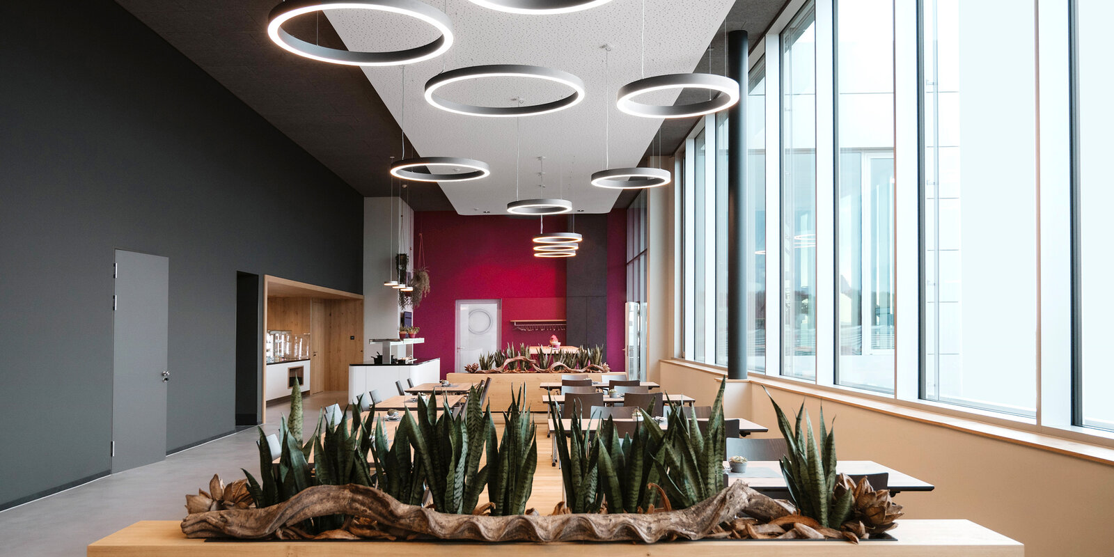 zieflekoch leuco ledermann Horb kantine asteiche grautoene buffetflaechen baenke cognacfarben magenta dezente komplementaerkontraste gruen sessel pflanzen beleuchtung ringe tische stuehle