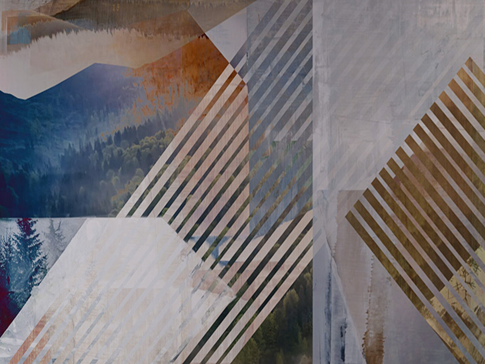 Abstrakte Komposition mit abgeschrägten Linien und geometrischen Formen. Die Farbpalette umfasst erdige Töne und kühle Blau- und Grautöne, die einen Waldhintergrund andeuten. Der Kontrast zwischen den Linien und dem hintergründigen Naturmotiv schafft ein dynamisches und modernes Erscheinungsbild.