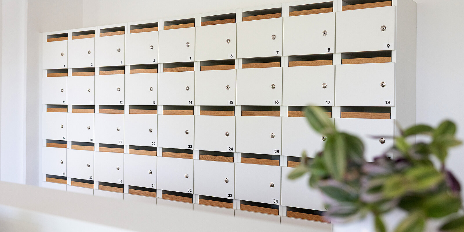 Weiße Wand mit mehreren Reihen von nummerierten Briefkästen. Im Vordergrund ist unscharf eine Pflanze zu sehen.
