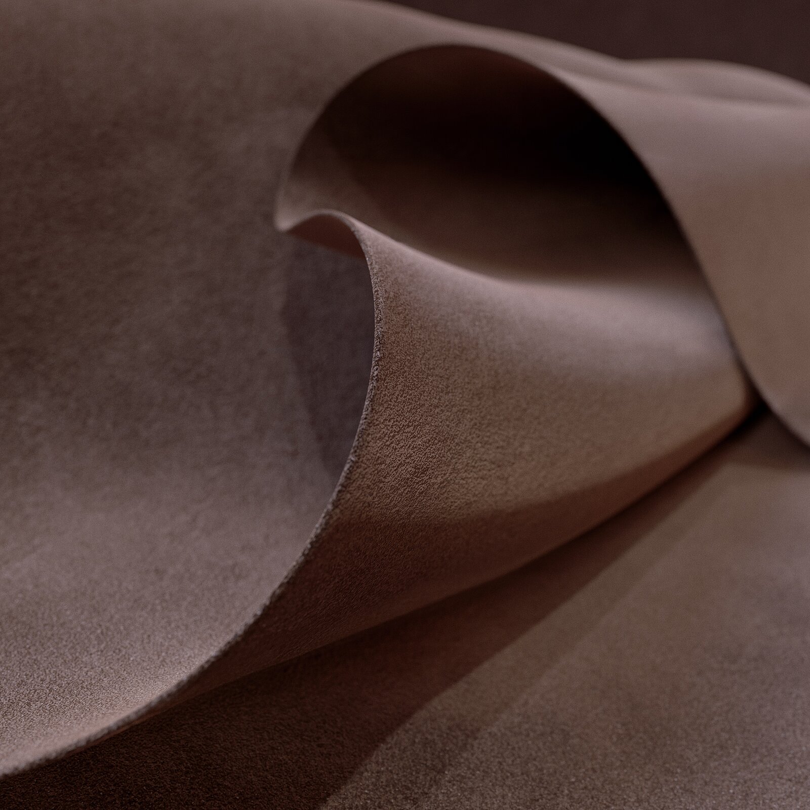 PTN_COY_Variation_Texture_Leather_2024_1025