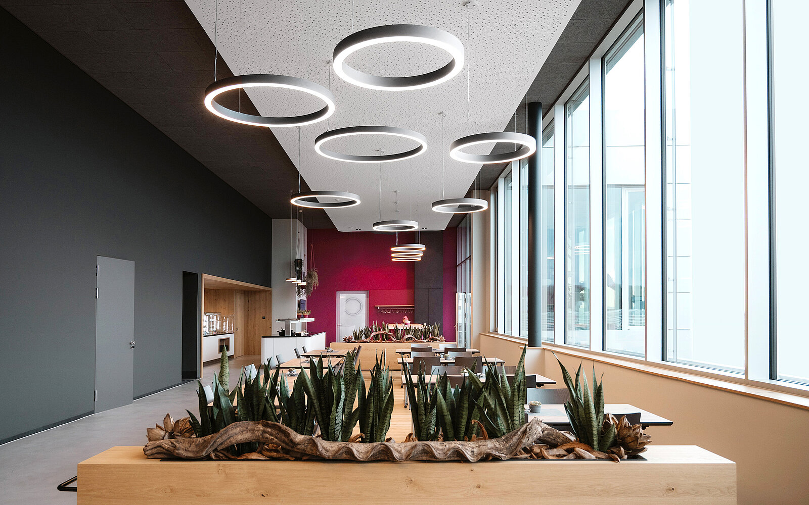 zieflekoch leuco ledermann Horb kantine asteiche grautoene buffetflaechen baenke cognacfarben magenta dezente komplementaerkontraste gruen sessel pflanzen beleuchtung ringe tische stuehle